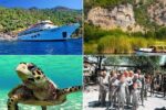 Turtle Beach Dalyan
