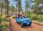 JEEP SAFARI - Image 16
